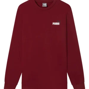 Felpa Puma girocollo Essential+2 bordò 684799-13